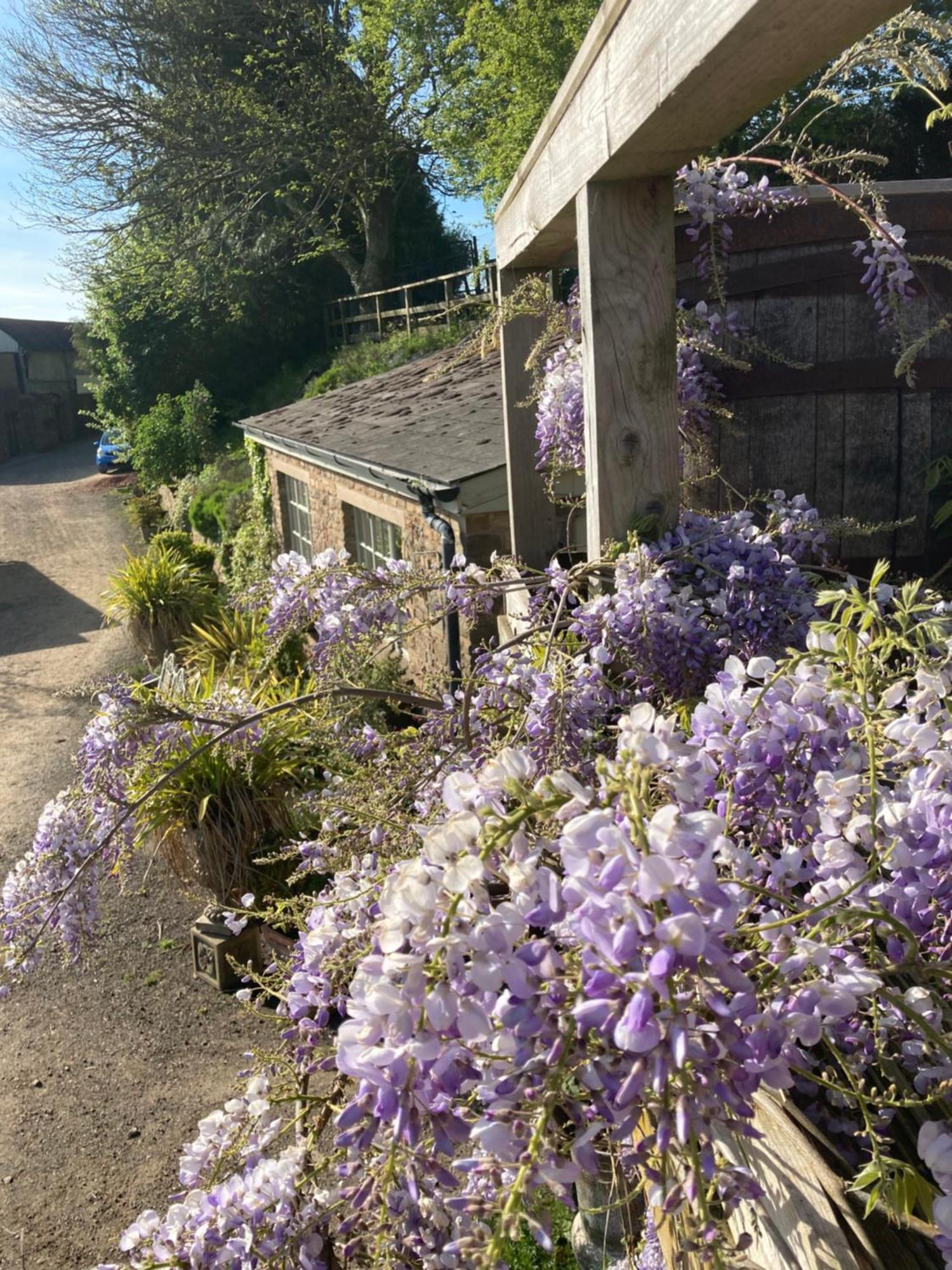 Lavender Cottage غلوستير المظهر الخارجي الصورة